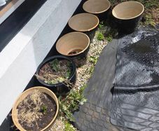 Pots