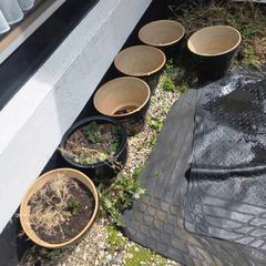 Pots
