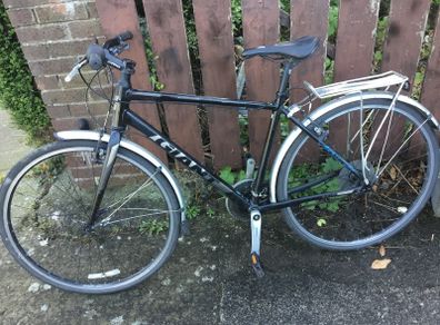 Giant bike
