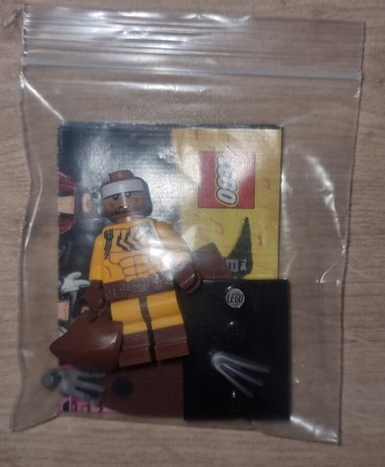 Lego Batman Movie: Catman