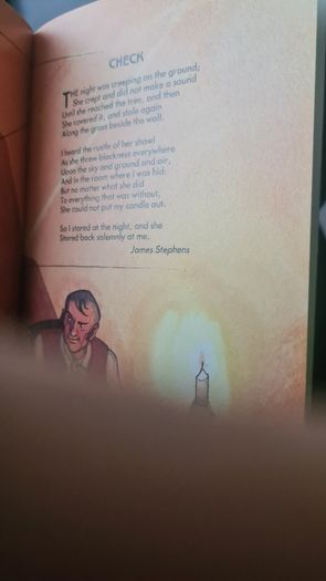 BEAUTIFUL ILLUSTRATED. THE FIRESIDE BOOK. 1995.POEMS OLD AND NEW EACH BEAUTIFULLY illustrated by a full page painting special commission to capture the flavour of the words. Hardback With Dustjacket In Very Good Condition.