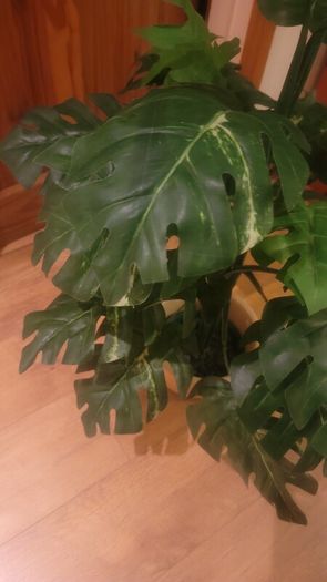 Artificial Monstera Plant in Strong Ceramic Plant Pot with Decorative Stones