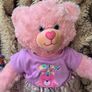 Build a Bear pink teddy and dress Image 2
