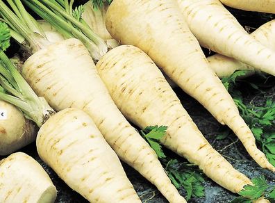 (P) Parsley Konika seeds 2g (210534)