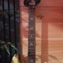 Prs Image 2
