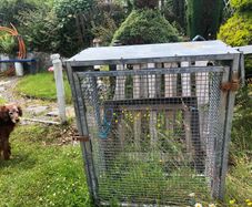 Gas Bottle Container Storage Security Cage