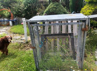 Gas Bottle Container Storage Security Cage