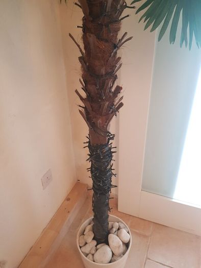 Artificial Palm Tree