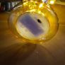Egg shaped glass ornament Image 6