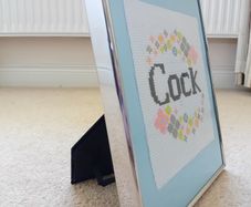 Framed funny embroidery