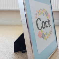 Framed funny embroidery