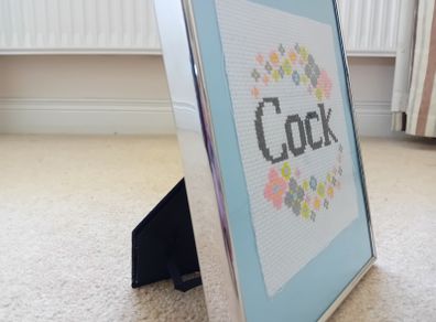 Framed funny embroidery