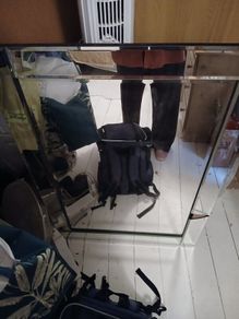 mirror