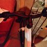 Ladies bike Image 2