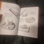 Drawing Still Life  The Fundamentals of Drawing Still Life (Soft cover)  Barrington Barber Image 6