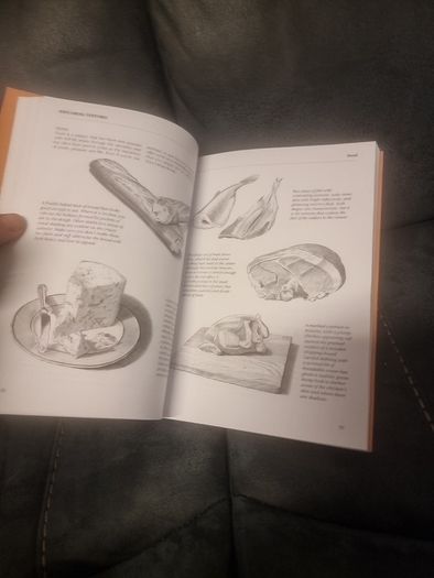 Drawing Still Life  The Fundamentals of Drawing Still Life (Soft cover)  Barrington Barber