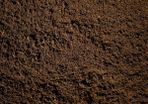 Ton bag of Garden Top soil (Call to check stock)