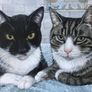 Custom Cat Portrait Image 4