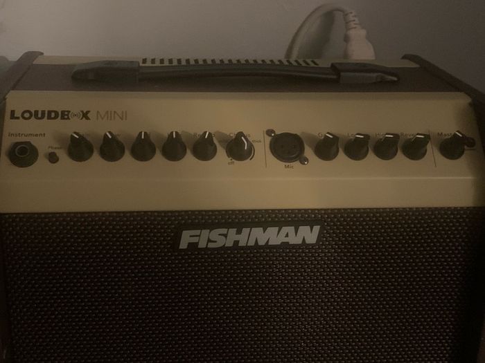 amp