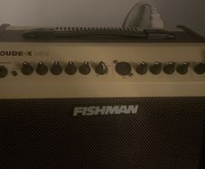 amp