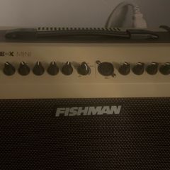 amp