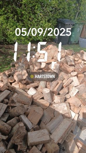 Firewood 2026