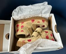 baby shoes size 22, uk 5.5G, clarks