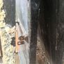 steel shed door+frame Image 2