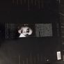 Tom Waits Franks wild years lp Irish press Image 2
