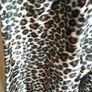 Womens  Leopard print short jacket by FRANSA Size Medium Image 2