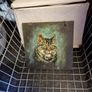 moggy picture on slate Image 5