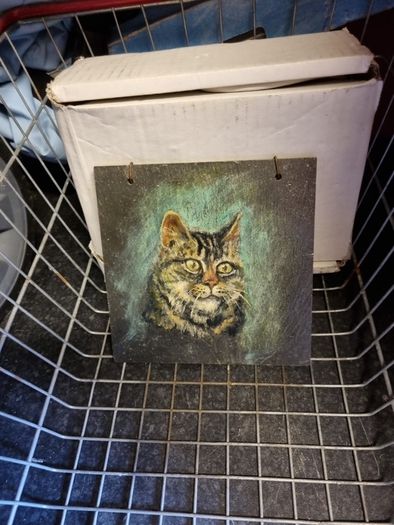 moggy picture on slate
