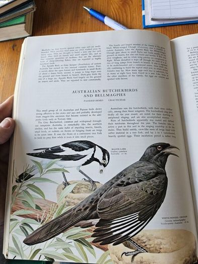 Birds Of The World. By Oliver L. Austin Jr. Illustrated By Arthur Singer. Forwarded By Sir Peter Scott. 1968 Large Volume Hardback With Dustjacket In Good Condition.