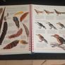 The Usborne Book of Art Skills Image 4