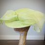 Lime green wide brim hat Image 8