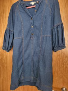 Whistles dress