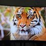 AOC 1080p 144hz Gaming Monitor 24 inch Curved Display Image 2