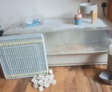 Cage
