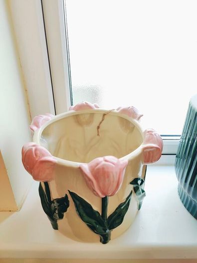 Plant and Flower Pot