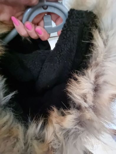 Calvin Klein parka