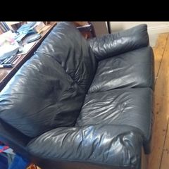 Free Sofa/Couch