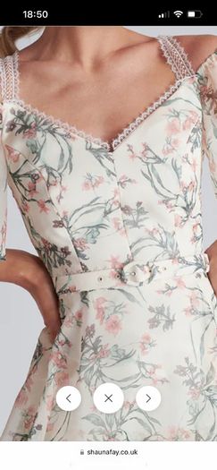 Shauna Fay Dress
