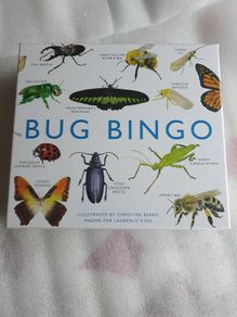Bug Bingo Board Game