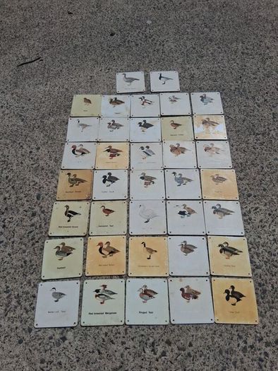 37 X Mid Century Avian Metal Display Plaques
