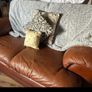 Tan Leather sofa suits Image 5