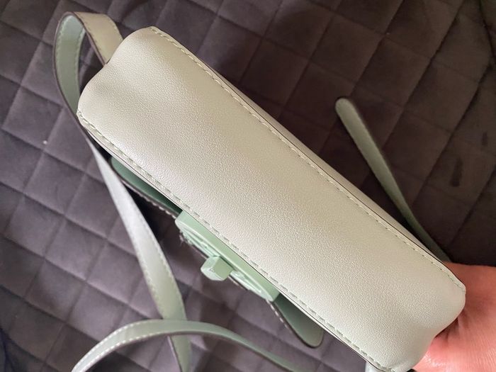 Mango small bag