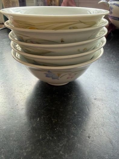 Porcelain China Desert Bowls x 5