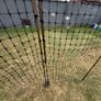 chicken fencing Image 4