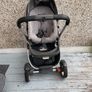 Buggy Image 9