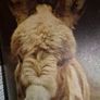 A first book of baby animals Image 4